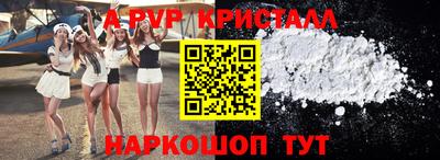 твердый Кингисепп