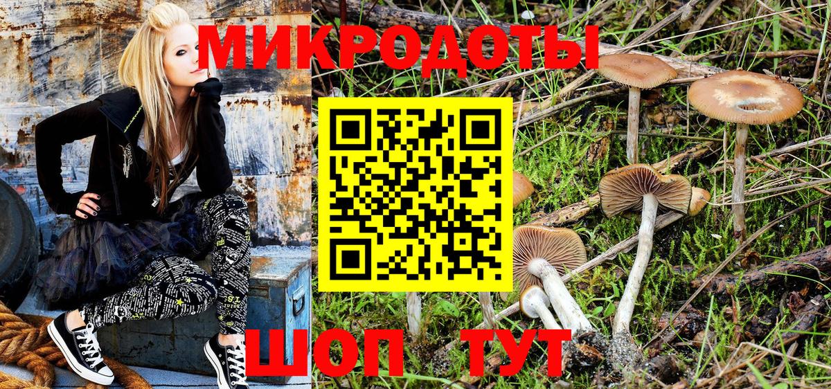Котельники  Галлюциногенные грибы MAGIC MUSHROOMS  Вход с VPN 